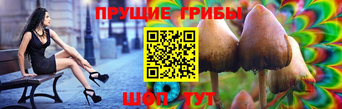 Богородск  купить наркоту  Псилоцибиновые грибы мицелий  Вход с VPN  Псилоцибиновые грибы MAGIC MUSHROOMS 